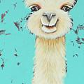 Llama Sue